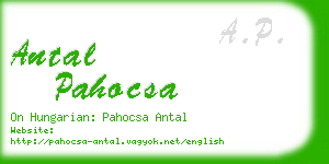 antal pahocsa business card